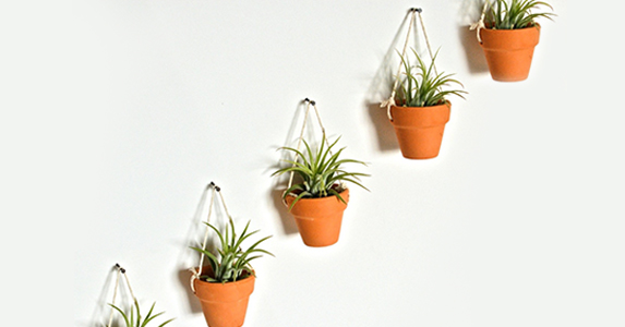 hanging plant pots