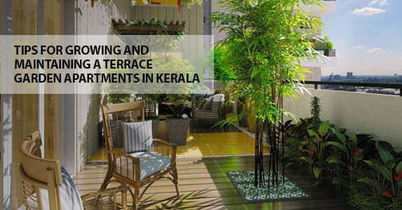 Tips for Growing and Maintaining a Terrace Garden Apartments in Kerala