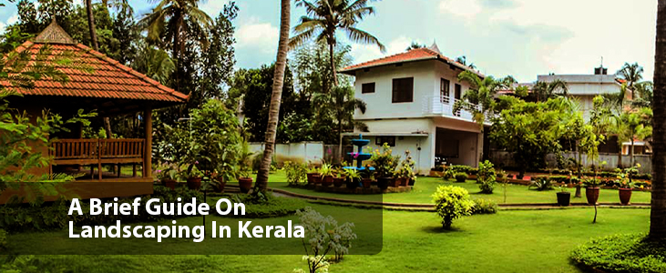 A Brief Guide On Landscaping In Kerala