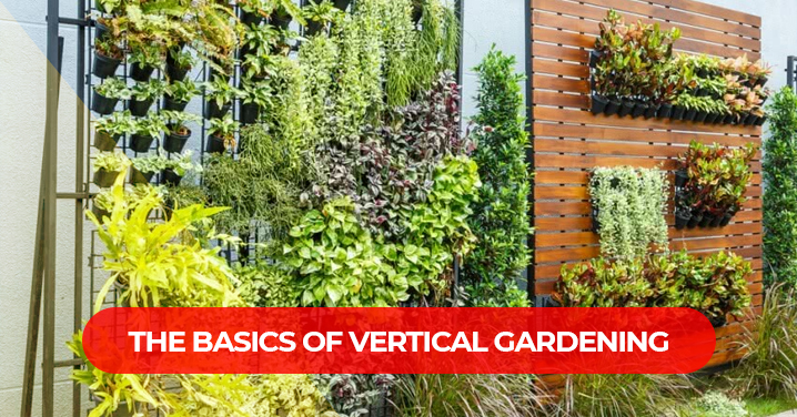 Vertical Gardening Kerala – A Guide To Grow More In Less Space