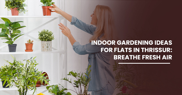 Indoor Gardening Ideas for Flats in Thrissur: Breathe Fresh Air